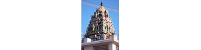 தென்சேரி மலை - கோயம்புத்தூர்
